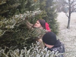 projekt ptaci 20